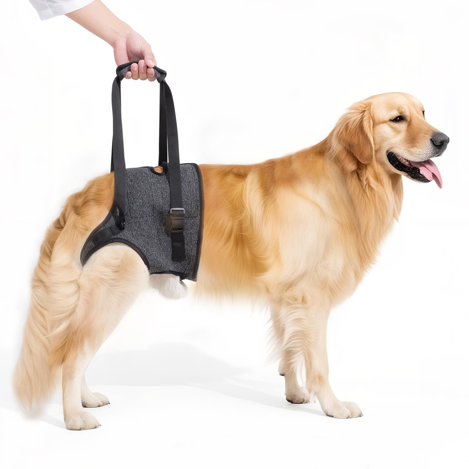Lqyom dog sling for large dogs with breathable mesh for cooler walks