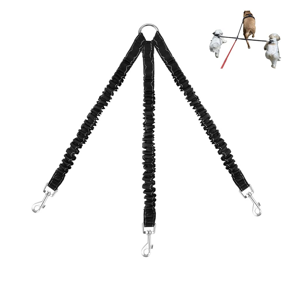 LTSGORY 3Way dog leash coupler full setup enables organized multi-dog walking.