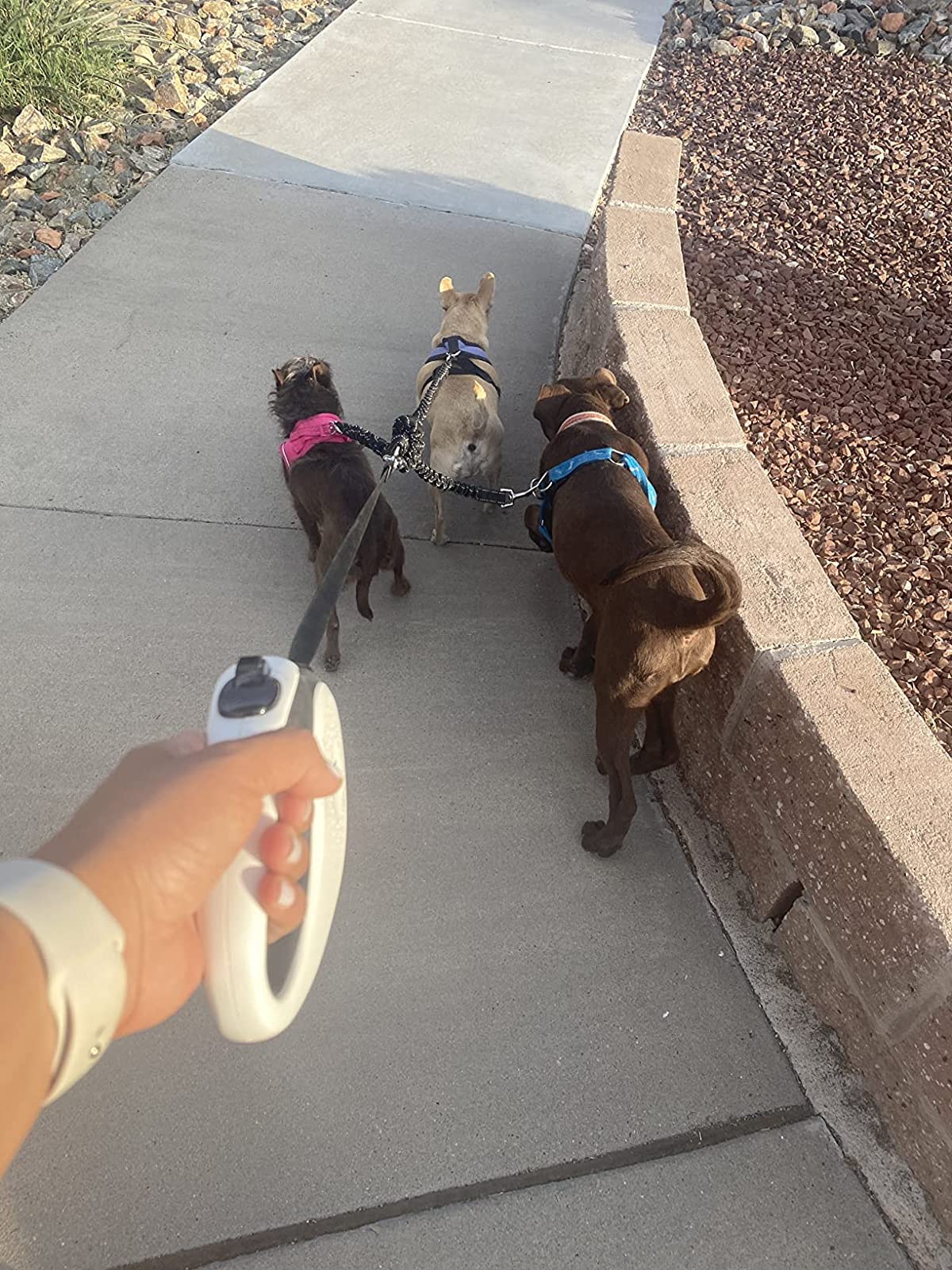 LTSGORY 3Way dog leash coupler three-dog walking with extra space and control.