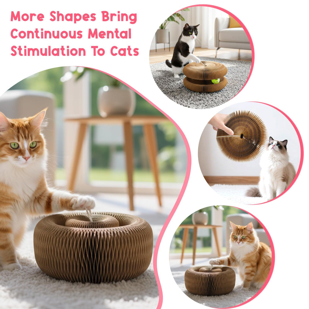 LUBANA Kitty Curls cat enjoys mental stimulation during indoor play.