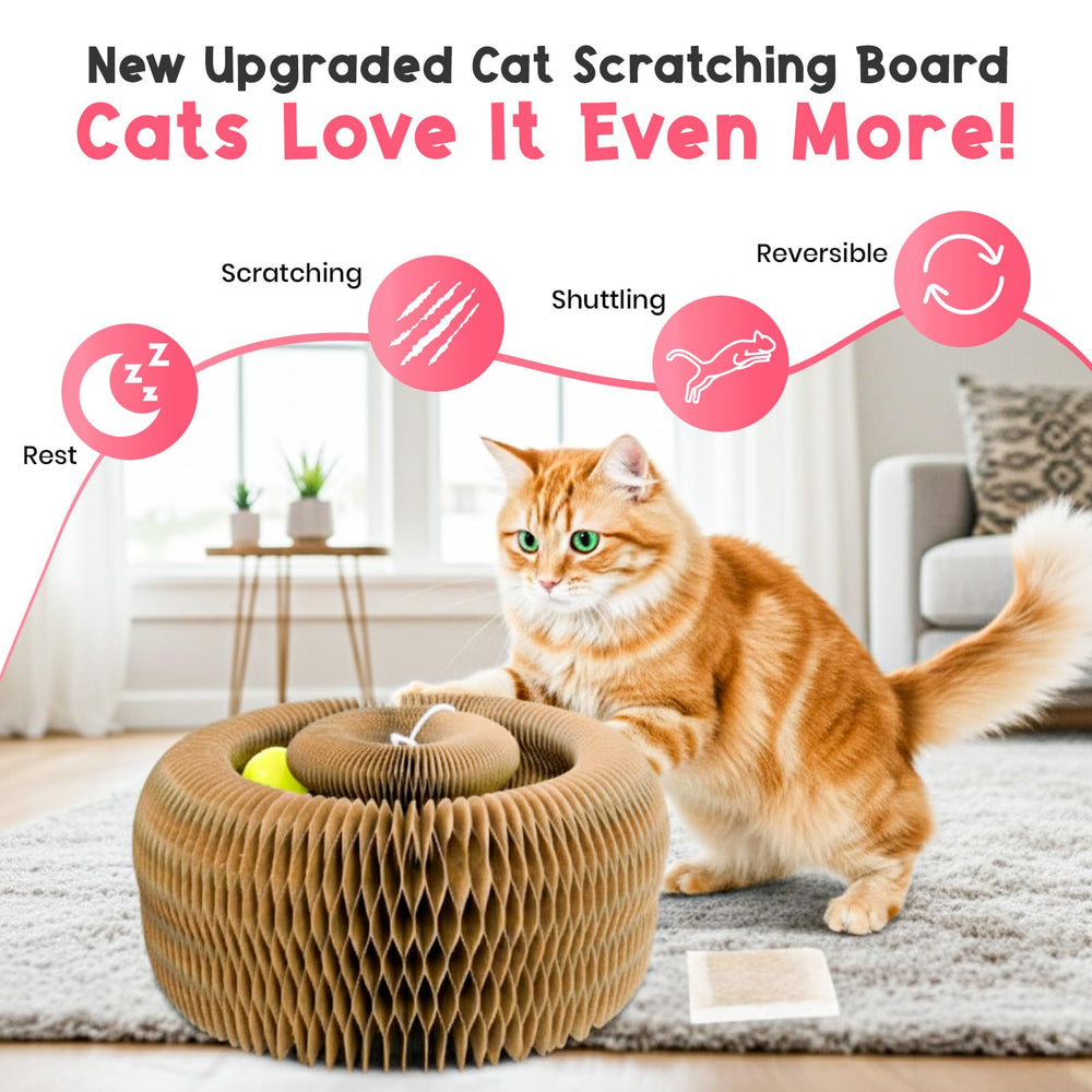 LUBANA Kitty Curls multi-shape options invite versatile play and exercise.