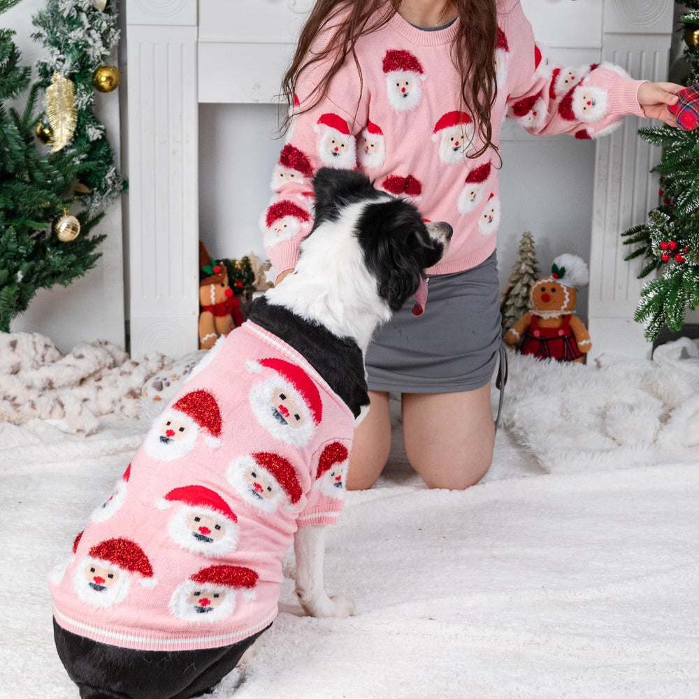 LUBOT gift-ready packaging with holiday sweater for pets.
