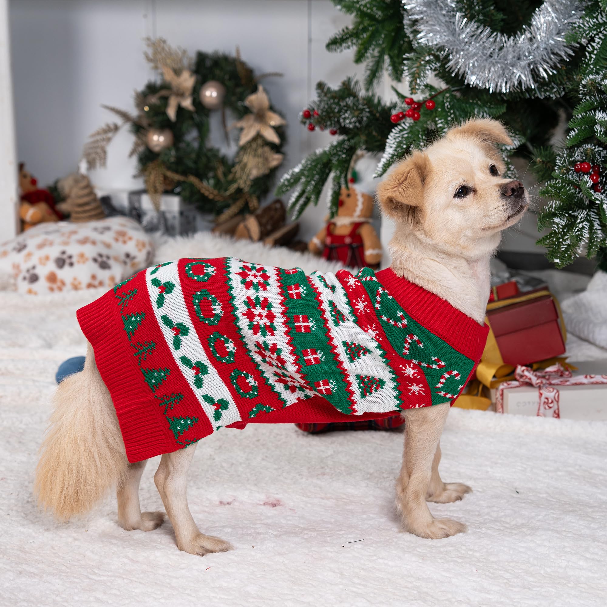 LUBOT puppy wearing sweater at a holiday party