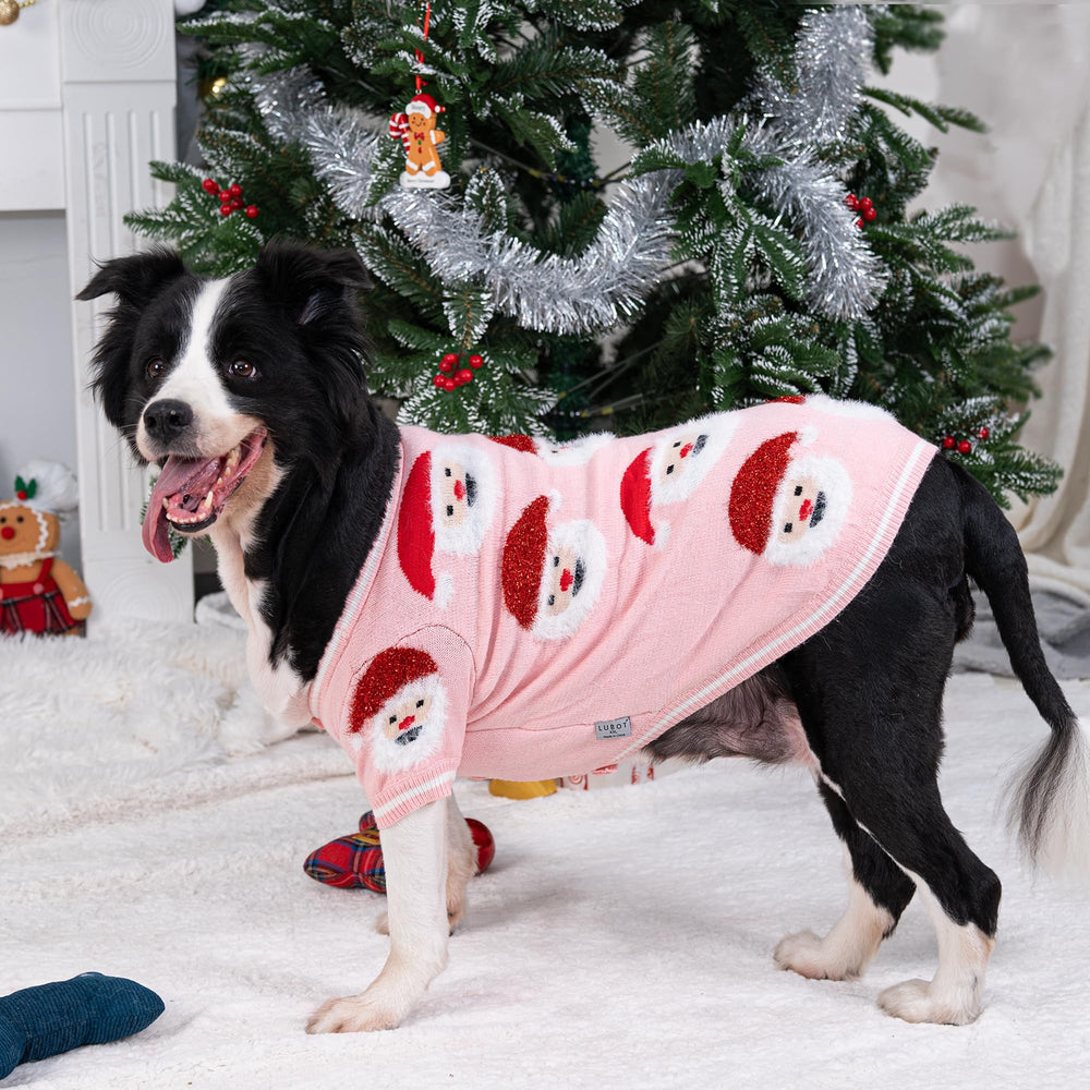 LUBOT puppy winter wear model demonstrates warm, flexible fit.