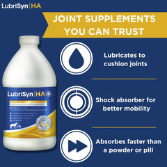 LubriSynHA bottle label close-up highlighting the MSM and HA blend