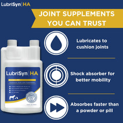 LubriSynHA clear liquid shows fast-absorbing formula for smoother mobility.