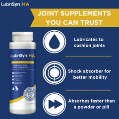 LubriSynHA dog joint supplement serve highlights convenient daily dosing for dogs.