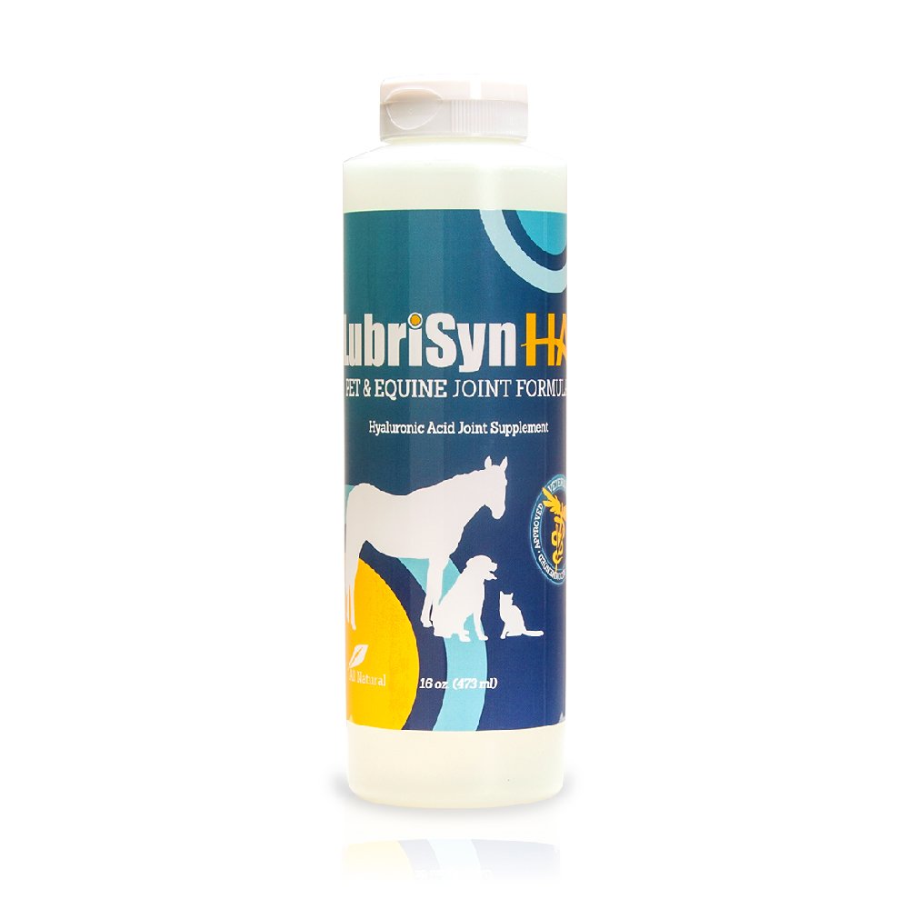 LubriSynHA dog joint support in action during playful movement