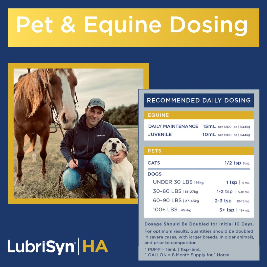 LubriSynHA horse joint support with a calm stride and lubrication