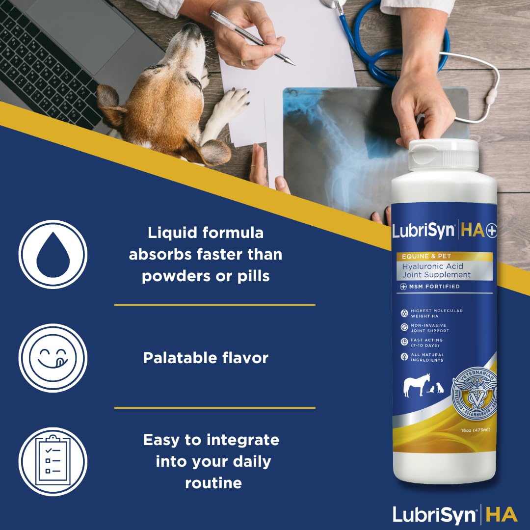 LubriSynHA liquid dispense shows quick absorption for mobility in pets.