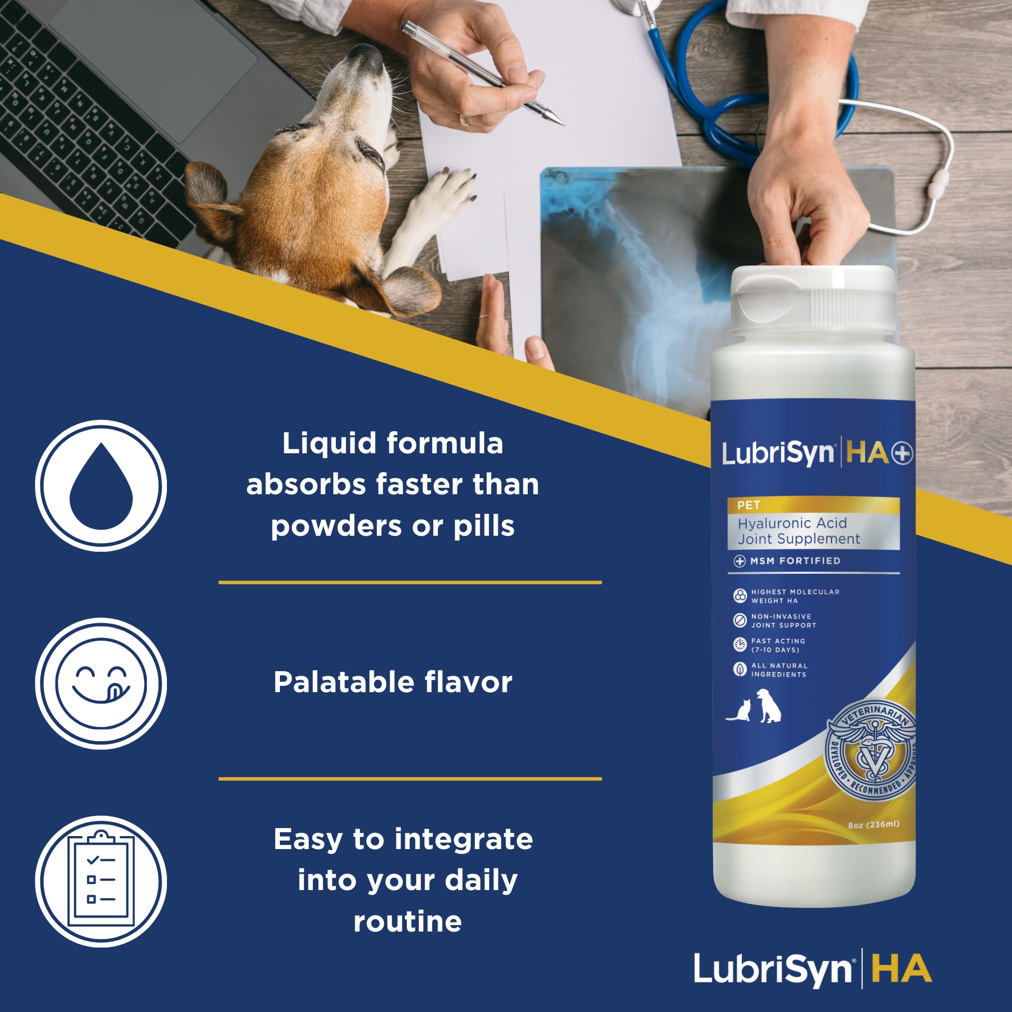 LubriSynHA bottle being poured to pets for mobility support