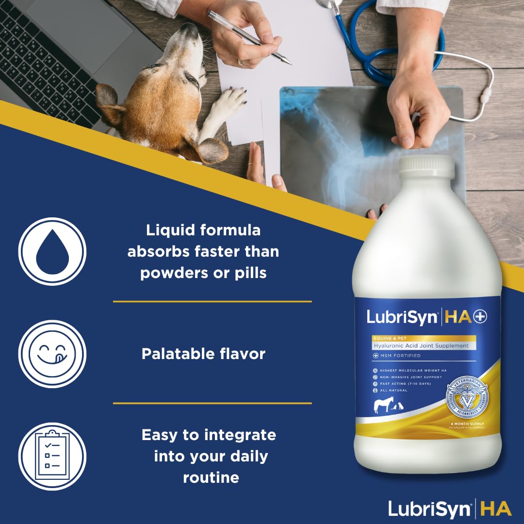 LubriSynHA pour spout dispensing the tasteless joint support solution