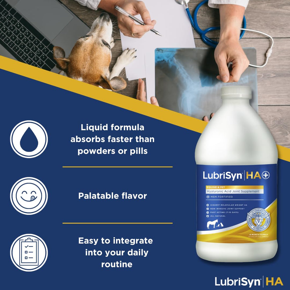 LubriSynHA pour spout dispensing the tasteless joint support solution