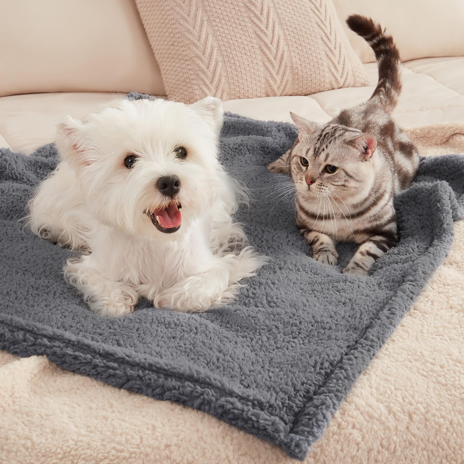 Luciphia blanket on sofa and bed demonstrates versatile use for couch, bed, and carrier