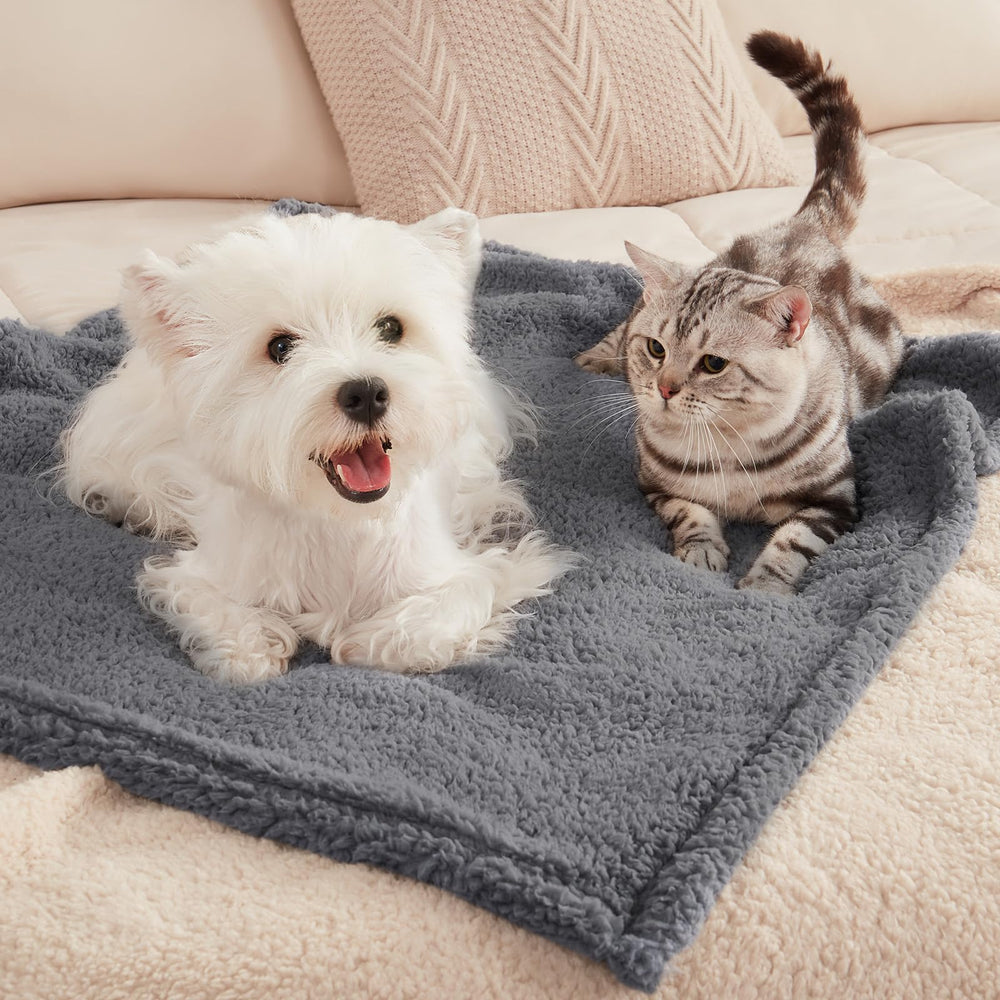 Luciphia blanket on sofa and bed demonstrates versatile use for couch, bed, and carrier