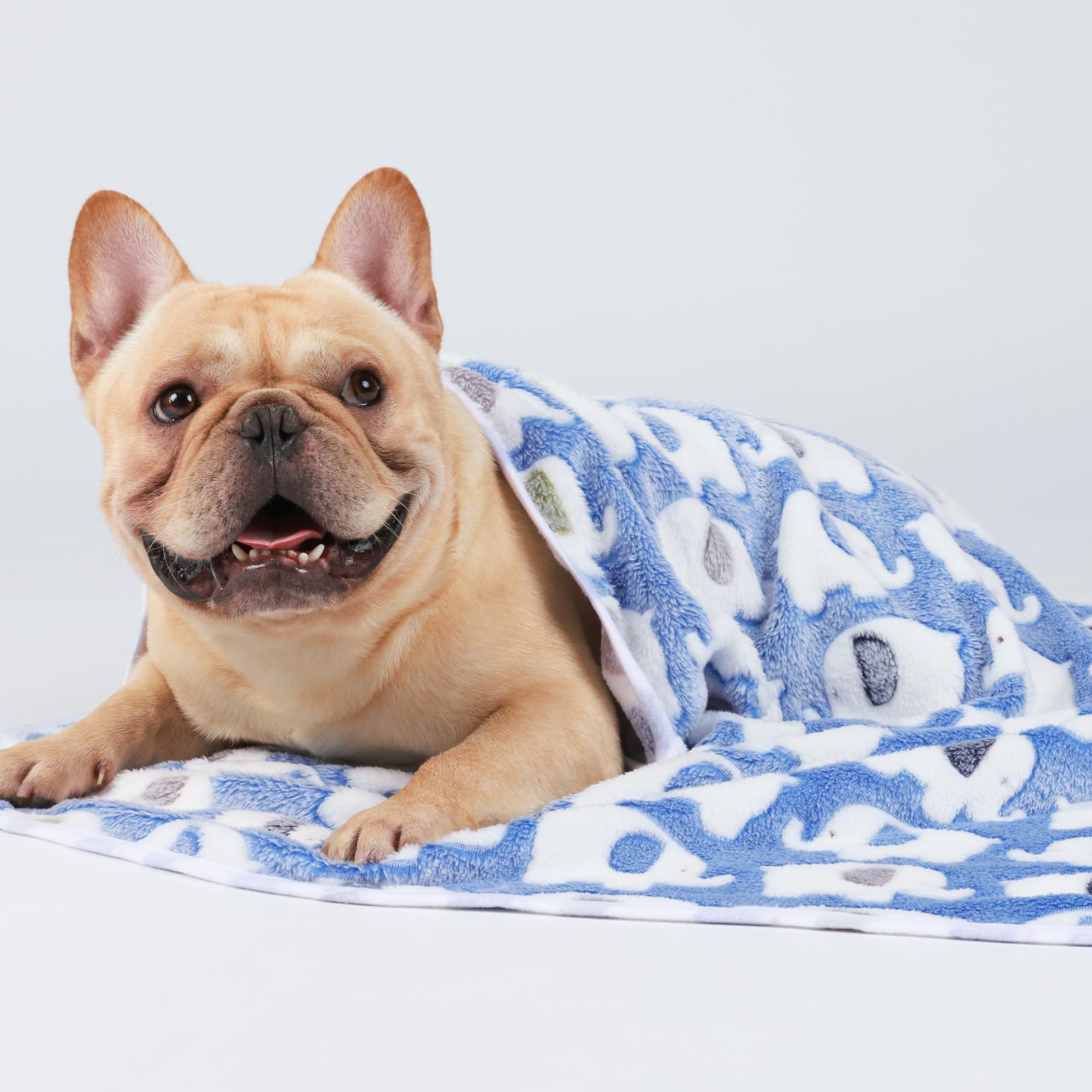 Luciphia blue elephant blanket on sofa demonstrates everyday pet comfort and furniture protection.