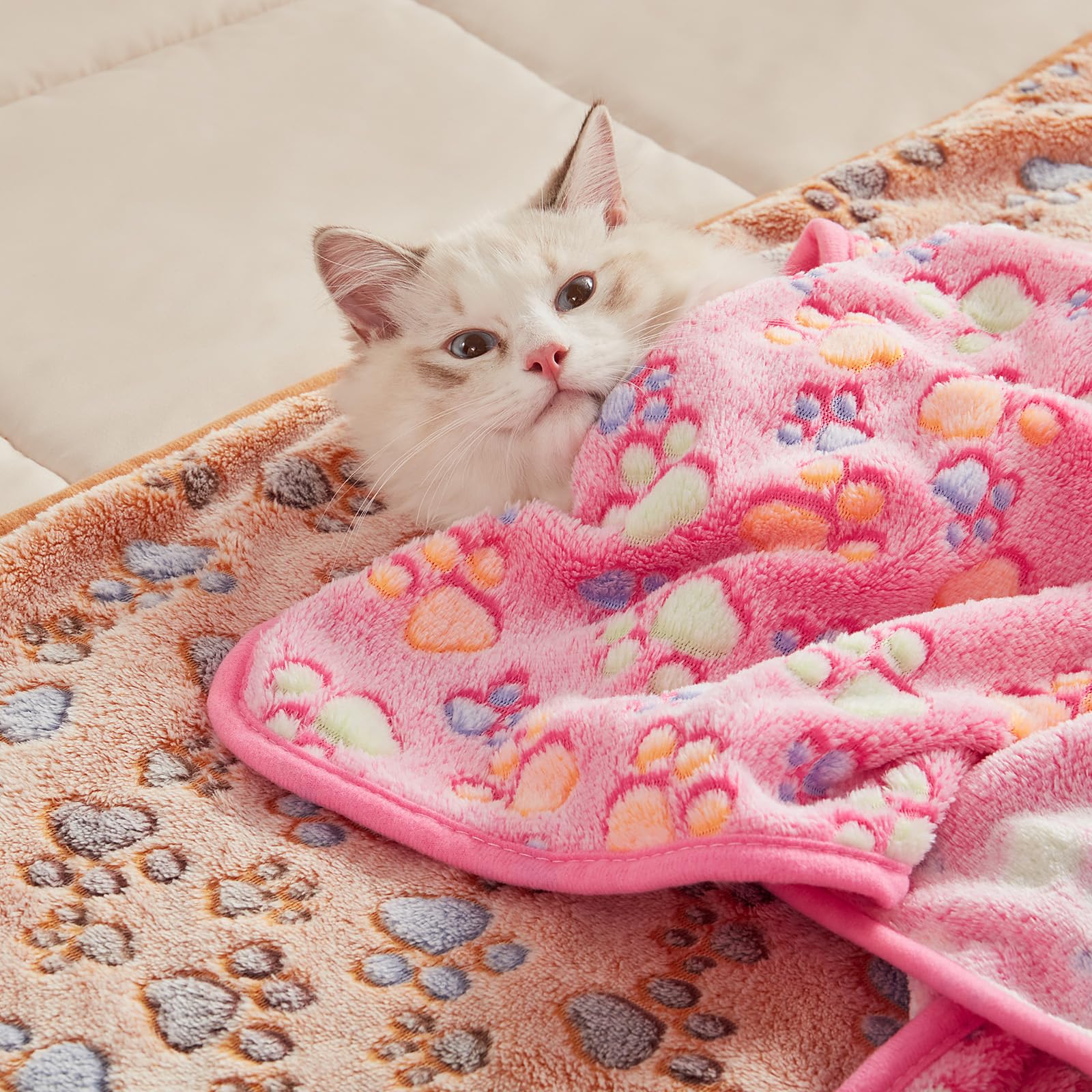 Luciphia pet blankets with dogs and cats for cozy snuggle sessions.