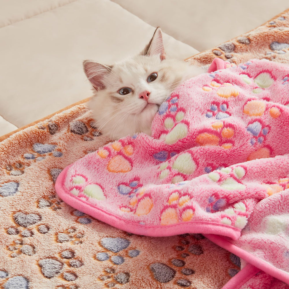 Luciphia pet blankets with dogs and cats for cozy snuggle sessions.