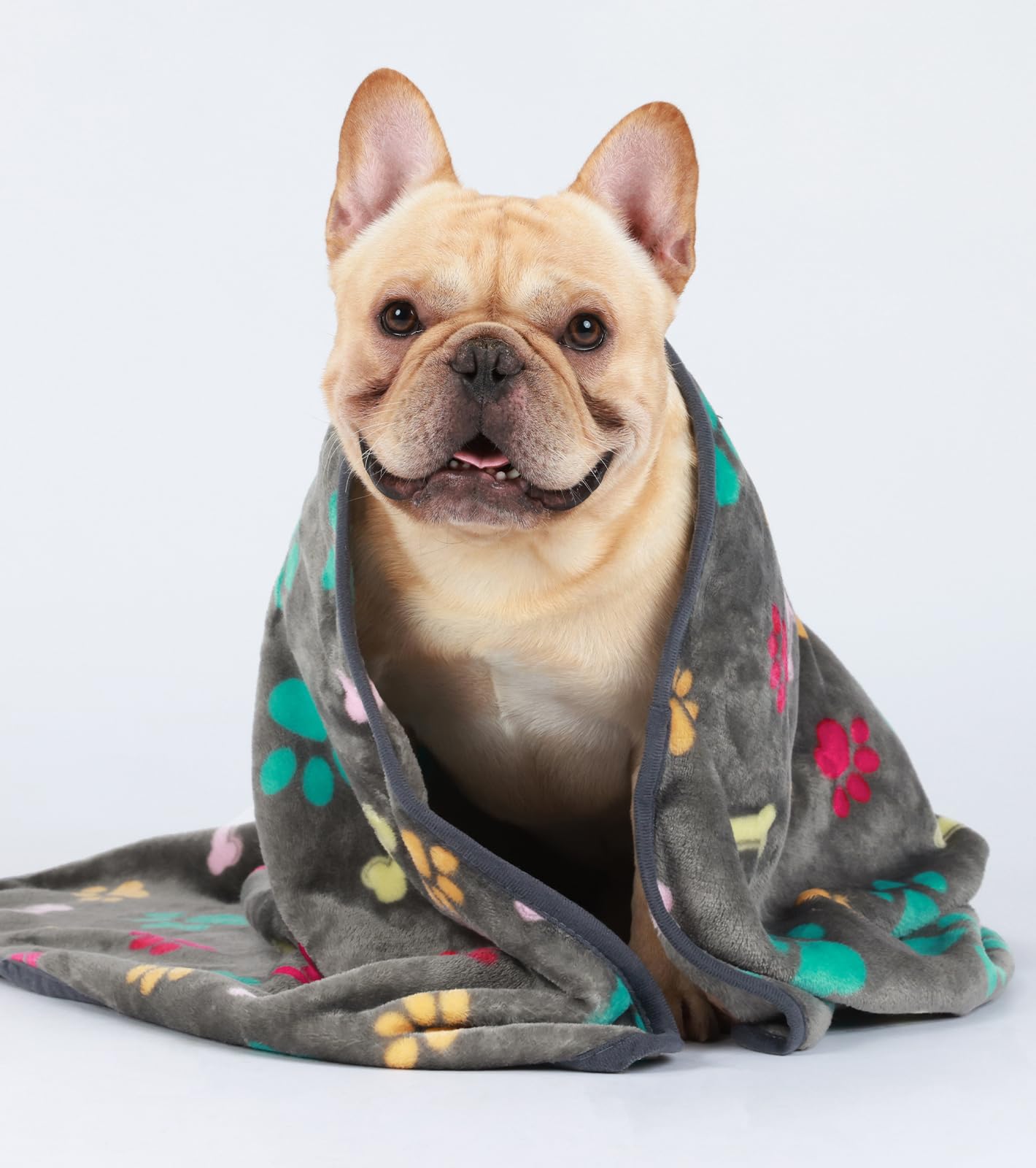 Luciphia couch protection for dog and cat helps guard furniture and hair.
