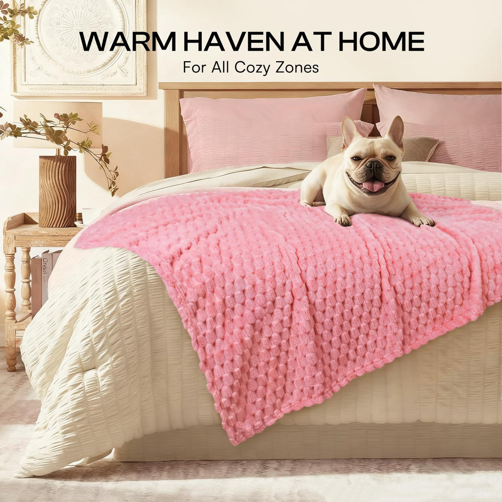 Luciphia dog blanket care machine washable for easy cleanup.