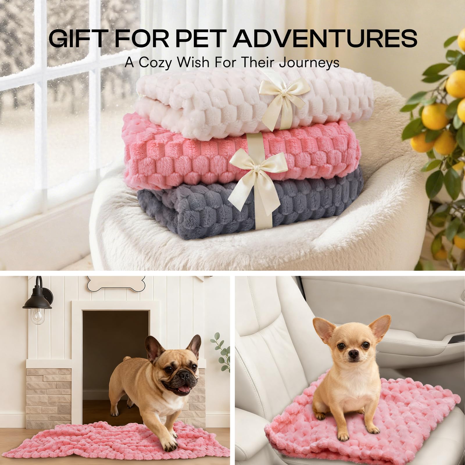 Luciphia dog blanket warm, balanced design for year-round coziness.