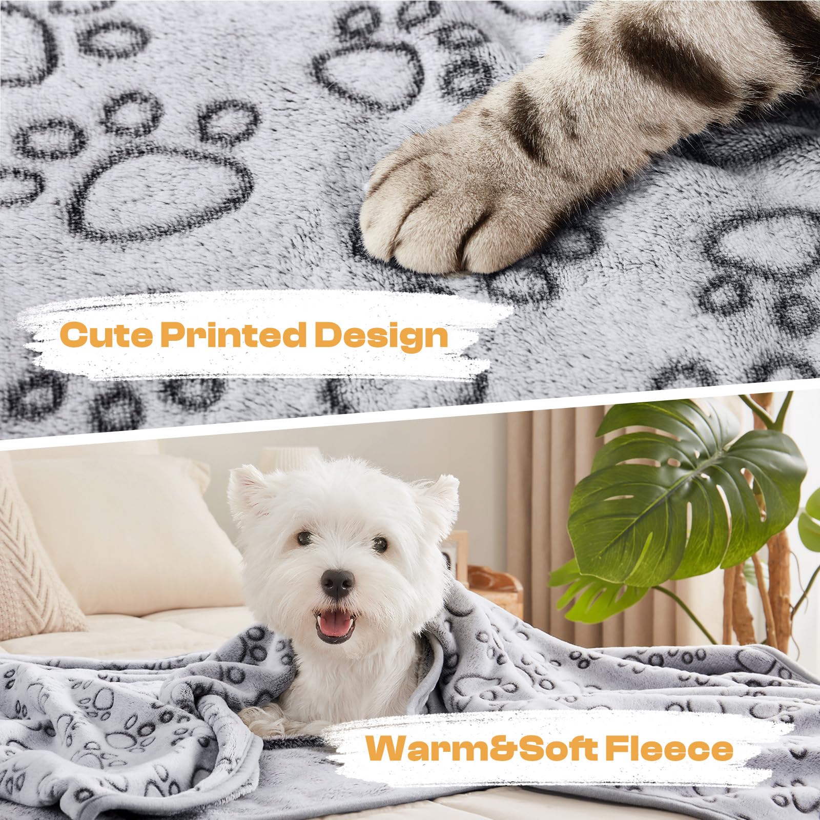 Luciphia flat lay shows small, medium, and large sizes included.