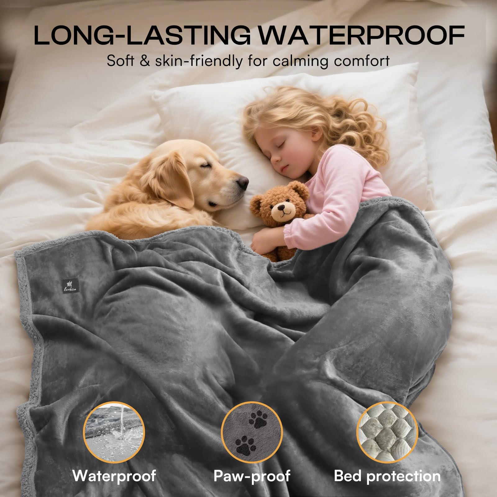 Luciphia furniture protector spread demonstrates spill and fur protection across sofas and chairs.