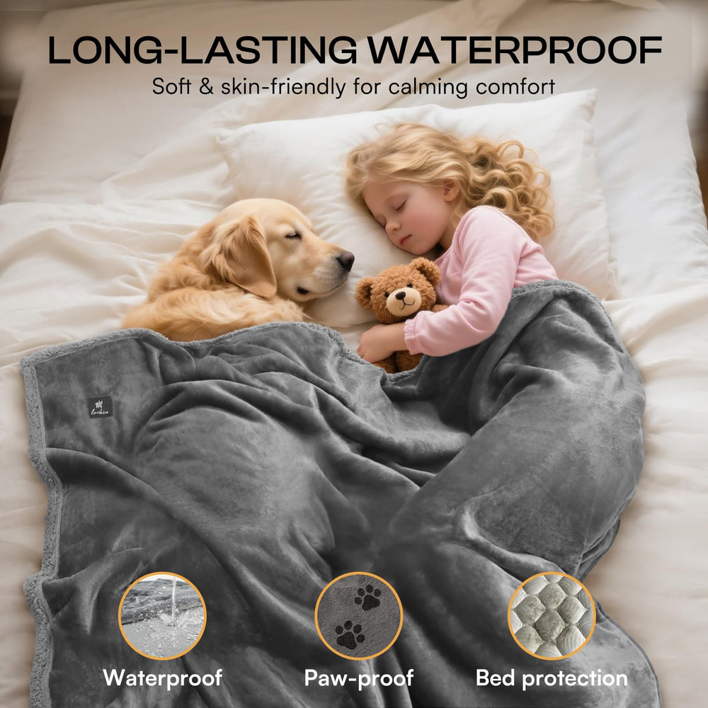 Luciphia furniture protector spread demonstrates spill and fur protection across sofas and chairs.