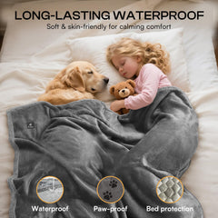 Luciphia furniture protector spread demonstrates spill and fur protection across sofas and chairs.
