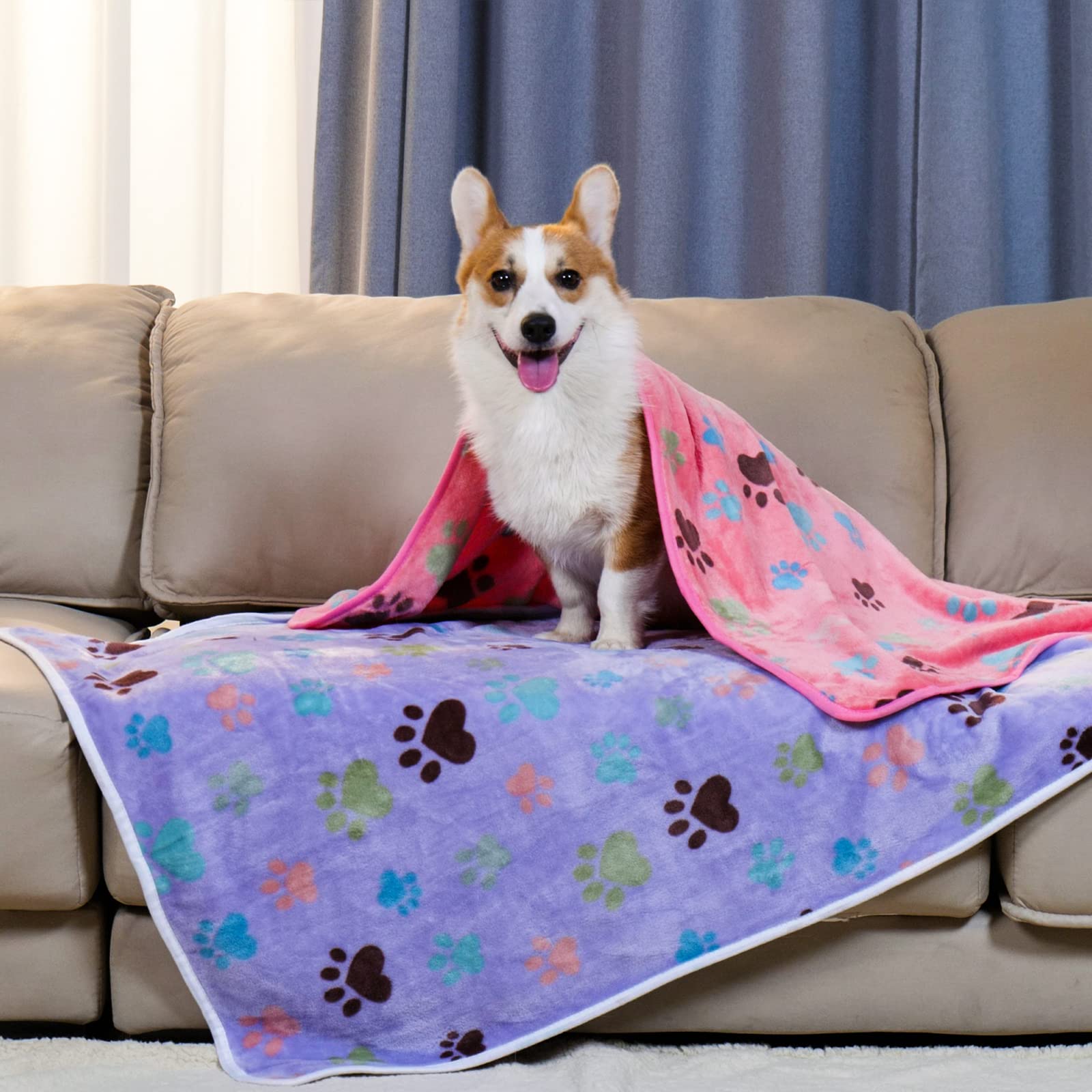 Luciphia large 41x31 dog blanket on sofa provides cozy furniture protection.