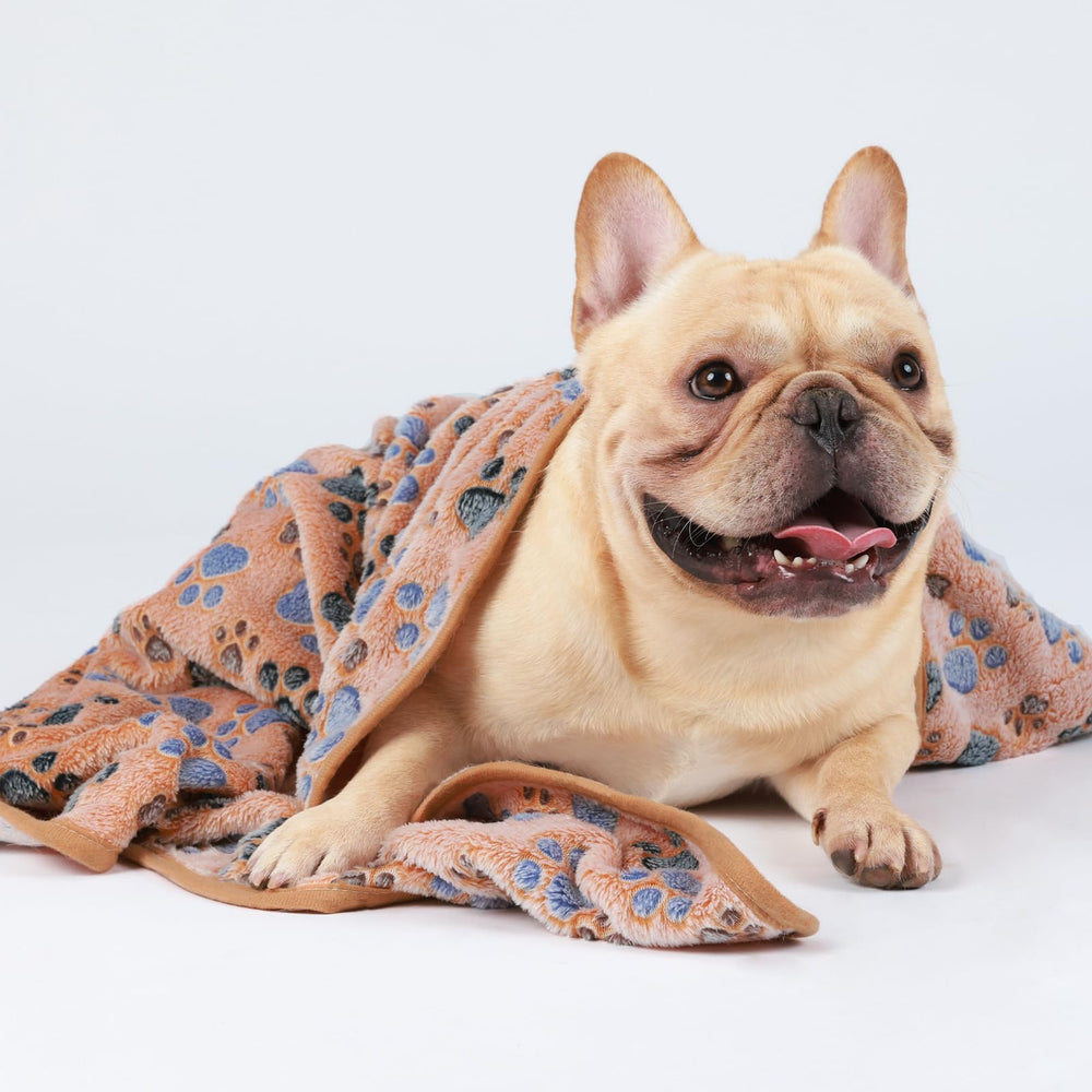 Luciphia lightweight blankets easy to carry for travel and outings