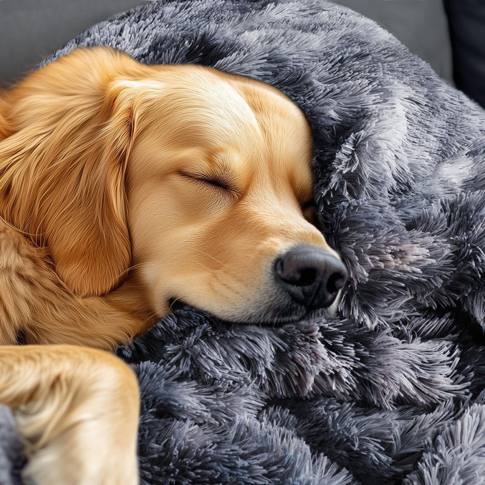 Luciphia lightweight blanket is portable for trips and outdoor activities.
