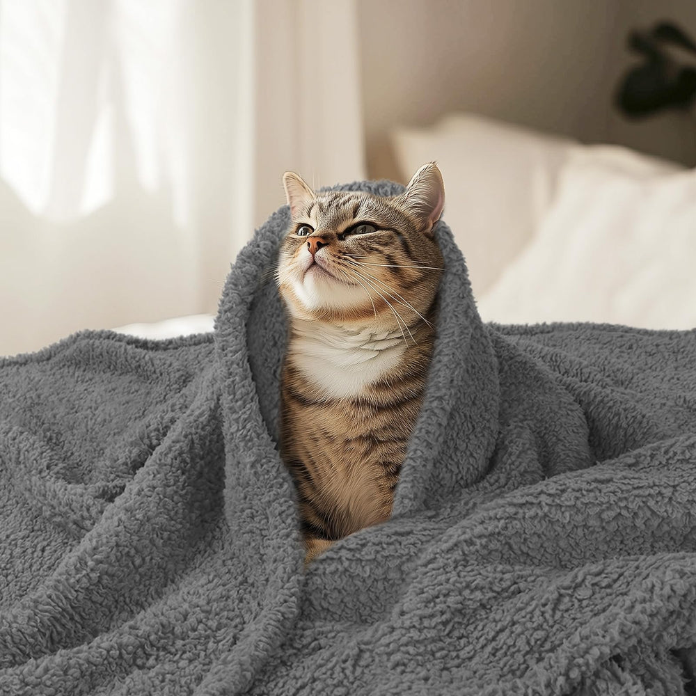 Luciphia machine-washable blanket simplifies cleaning after playful sessions.