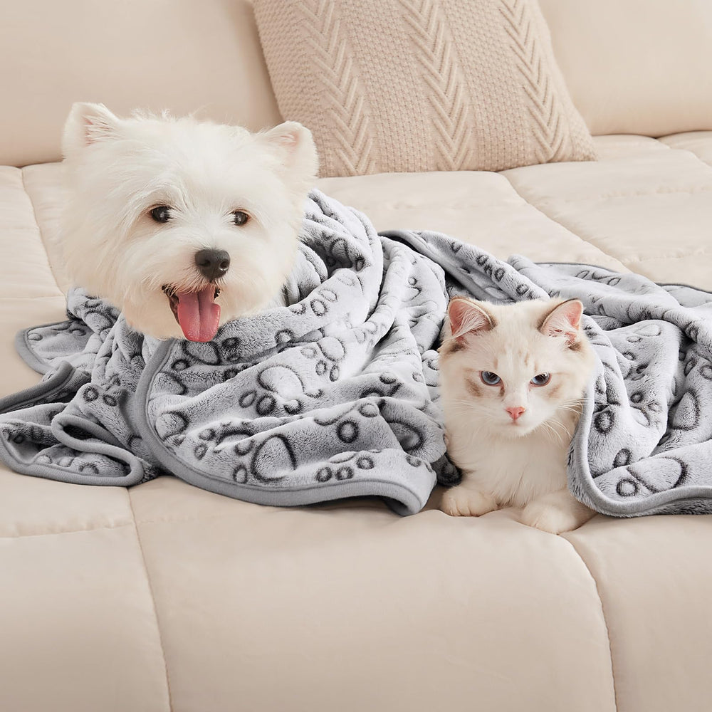 Luciphia machine-washable tag highlights easy cleaning for pet parents.