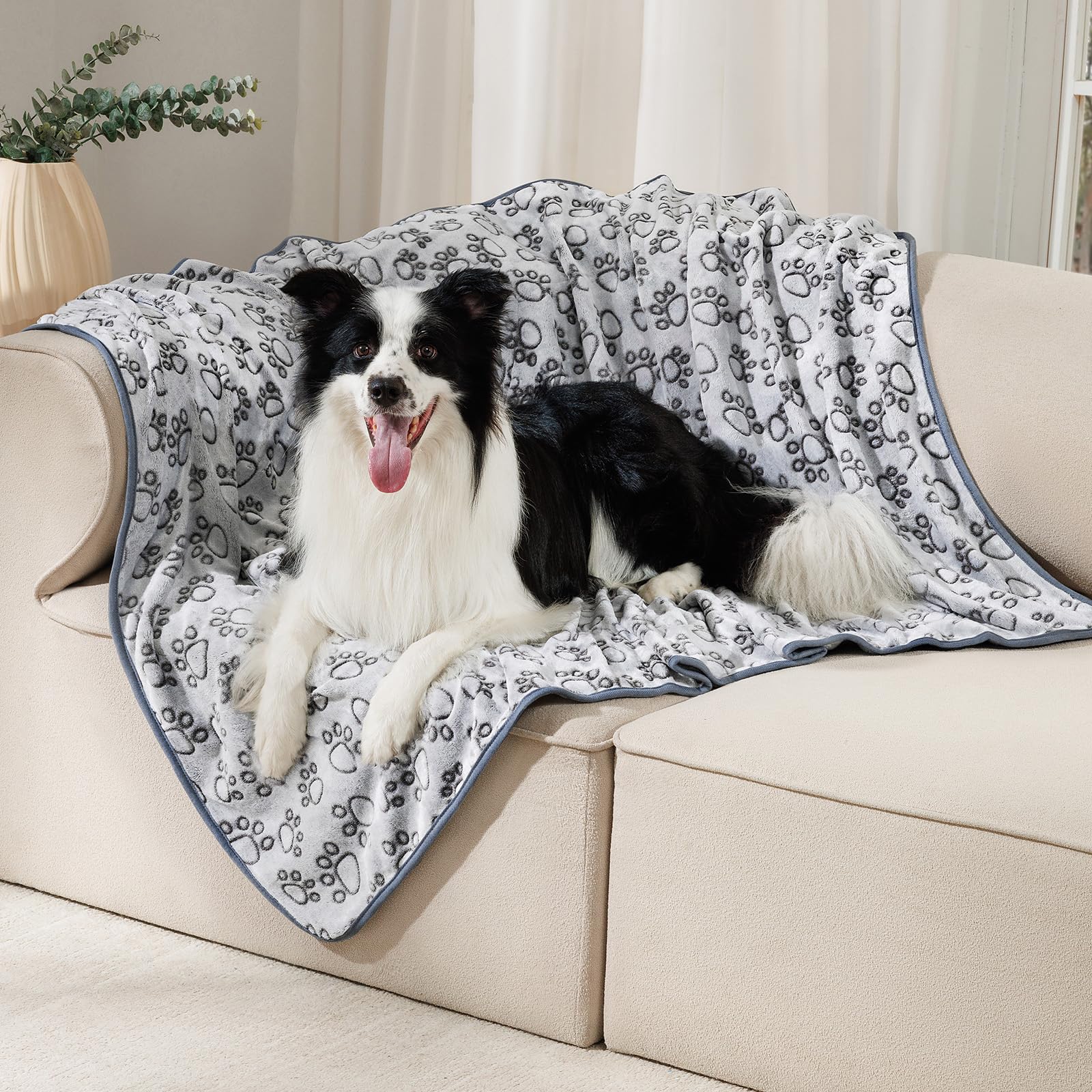 Luciphia packaging three blankets emphasizes value pack and versatile use.