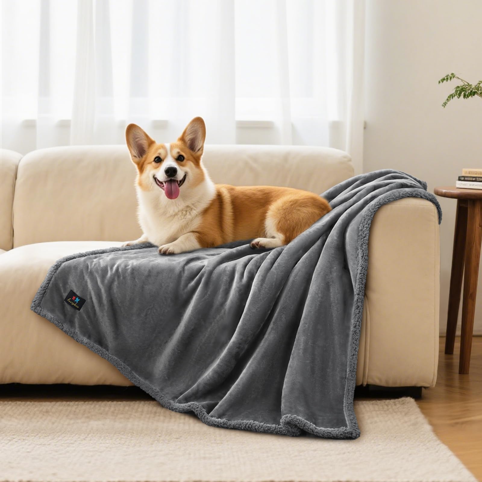 Luciphia pet nap on blanket shows a warm washable surface for peaceful snoozes.