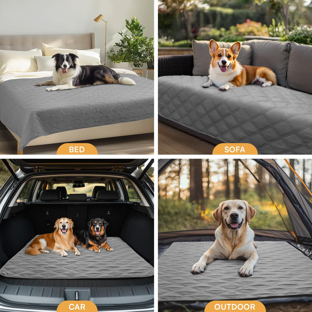Luciphia picnic mat ready for outdoor grass use with pets.
