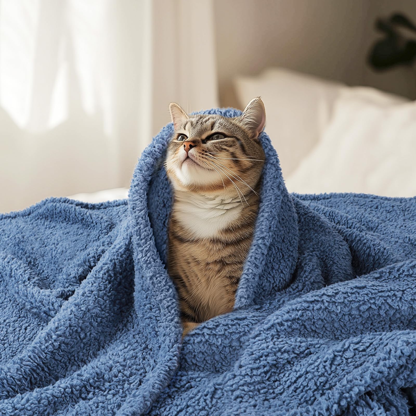 Luciphia blanket large 57x40 offers broad coverage on furniture and beds.