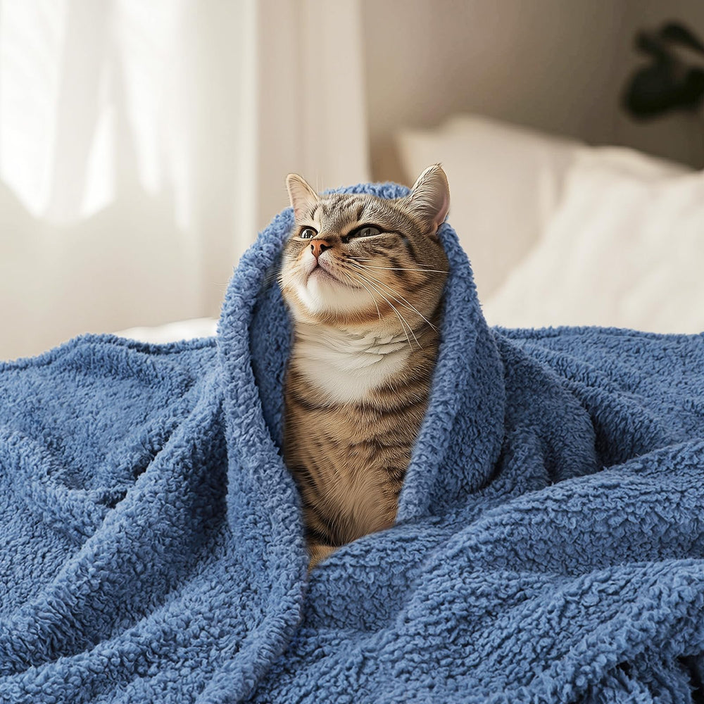 Luciphia blanket large 57x40 offers broad coverage on furniture and beds.