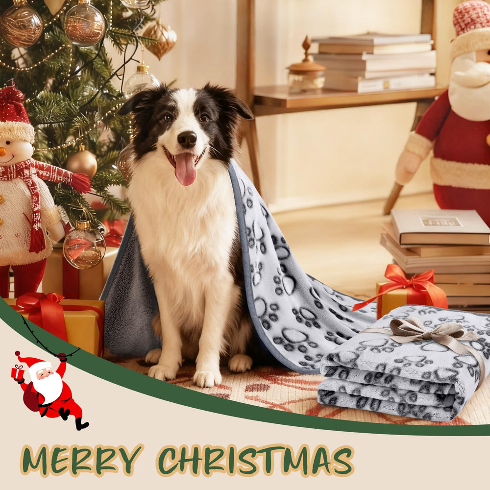 Luciphia blanket with dog resting highlights warmth for naps