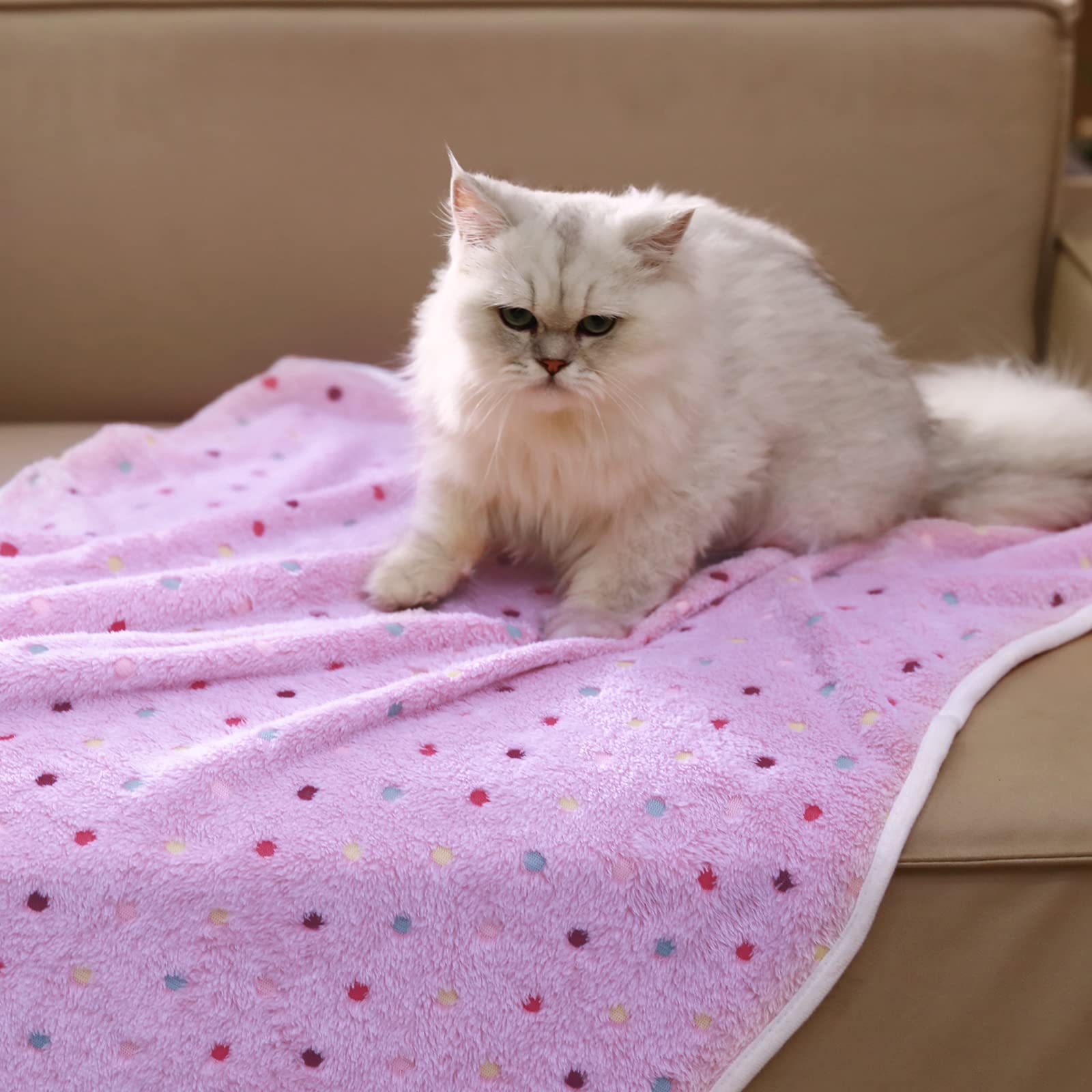 Luciphia protects furniture — no pills and pet hair friendly on couches