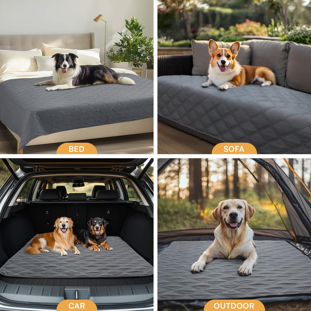 Luciphia grey blanket protects sofas and beds, reducing cleanup time.