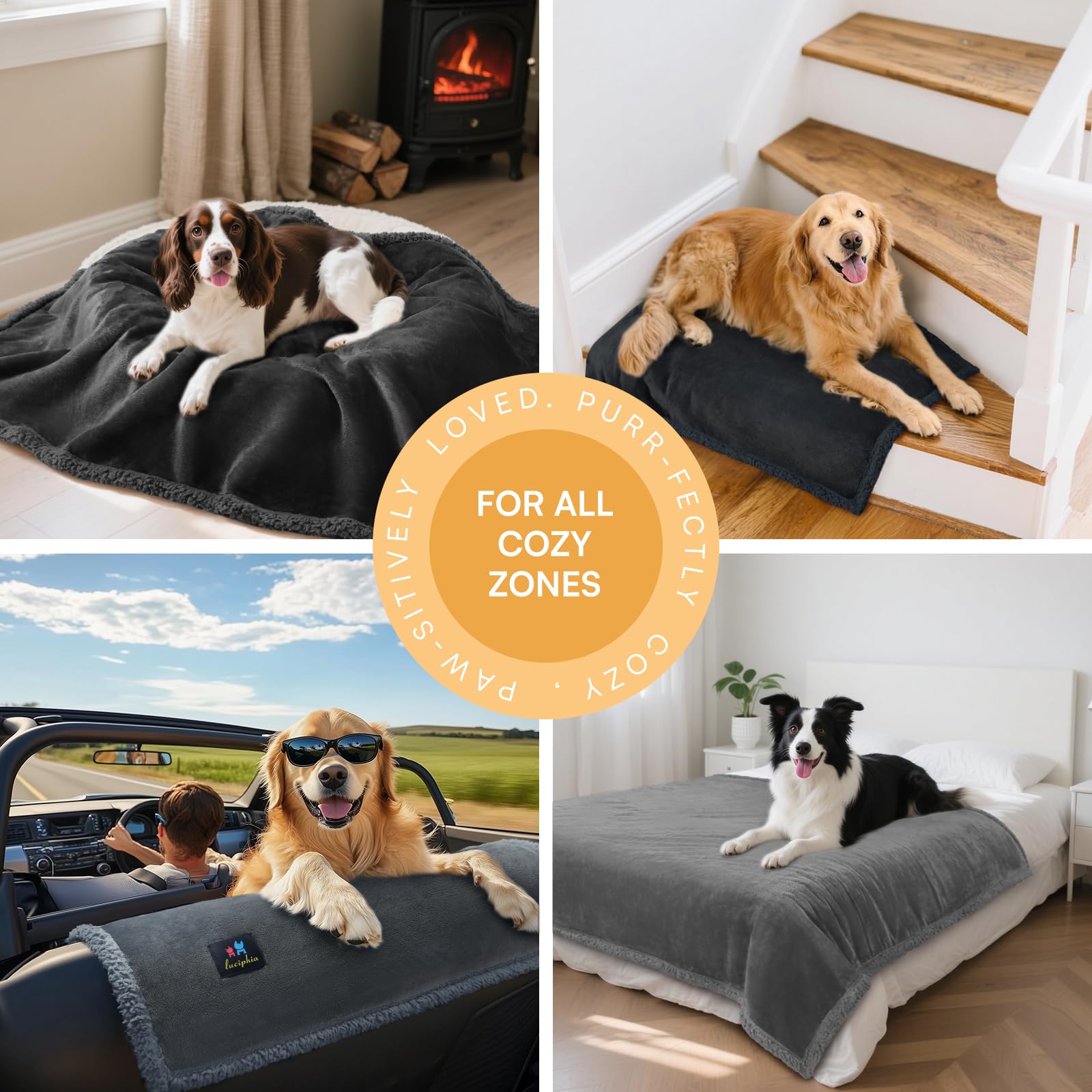 Luciphia puppy-cat use on couch illustrates a cozy resting spot for pets.