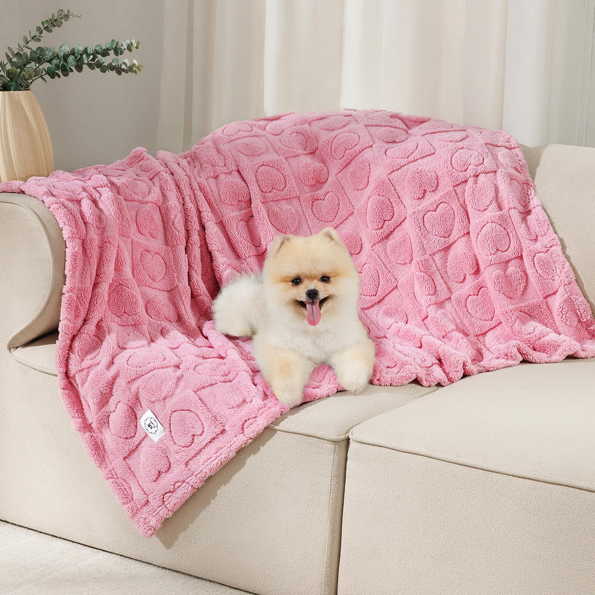 Luciphia small dog blanket with soft fleece offers cozy lounging on the couch.