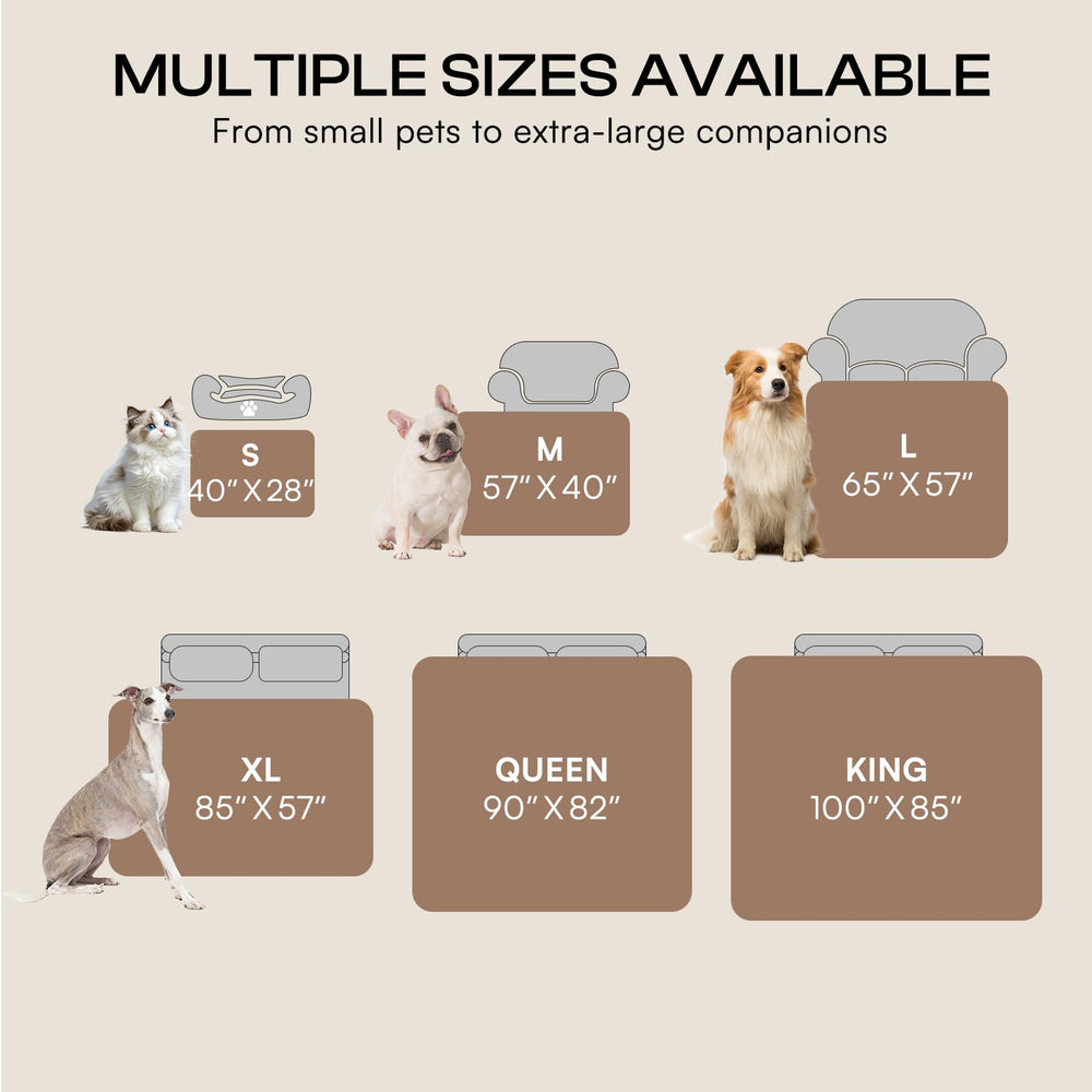 Luciphia-small-medium-large-dogs-cats demonstrates versatile pet sizing