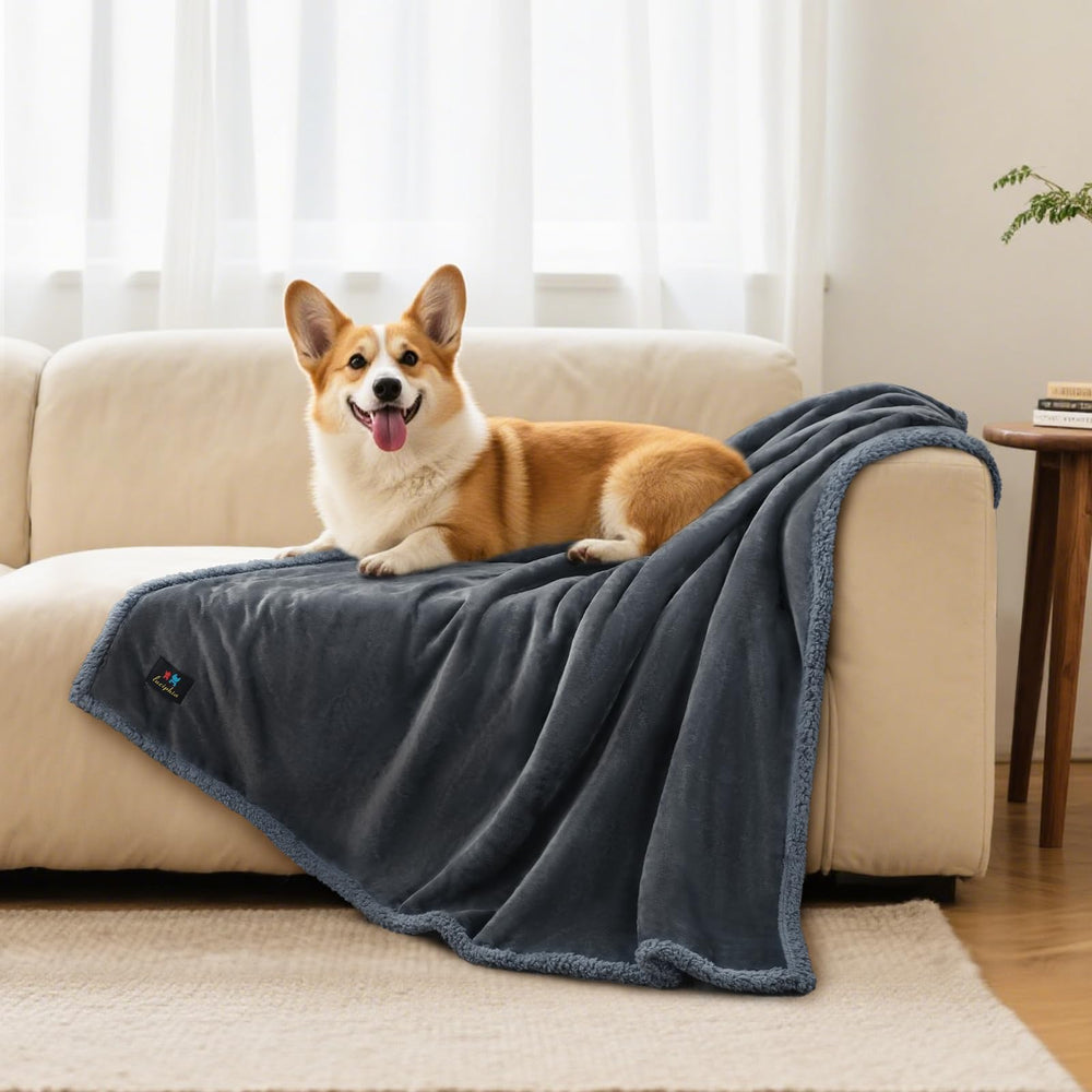 Luciphia Waterproof Bed Blanket on sofa with pet hair protection demonstration.