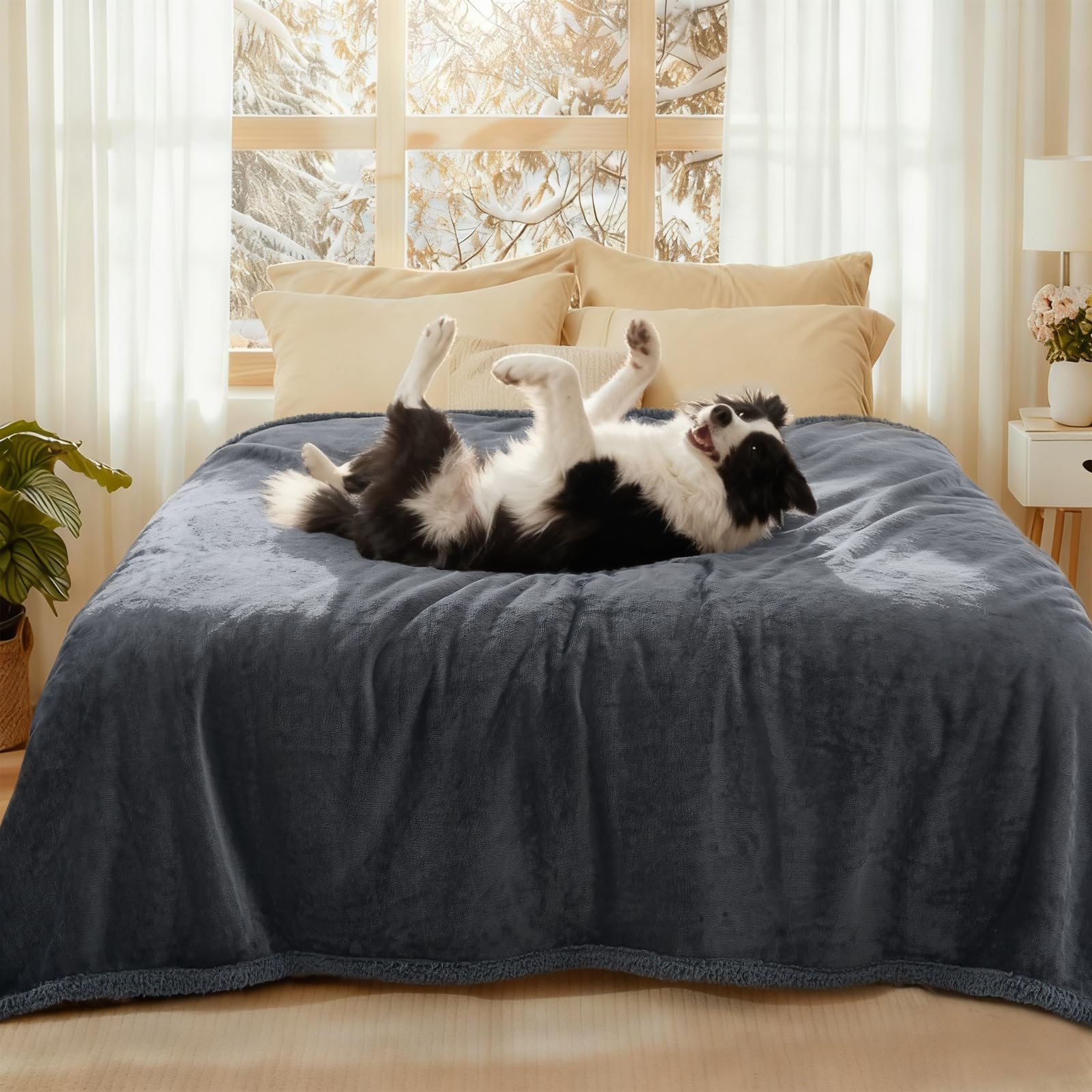 Luciphia Waterproof Bed Blanket closeup highlights plush fleece for cozy pet lounging.