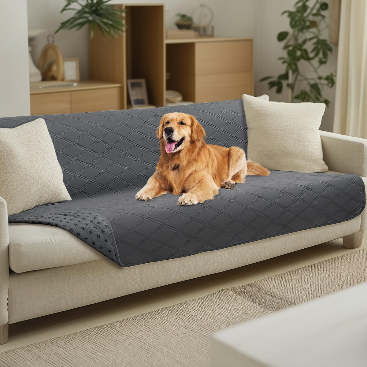 Luciphia waterproof couch cover blanket grey on sofa protects against spills