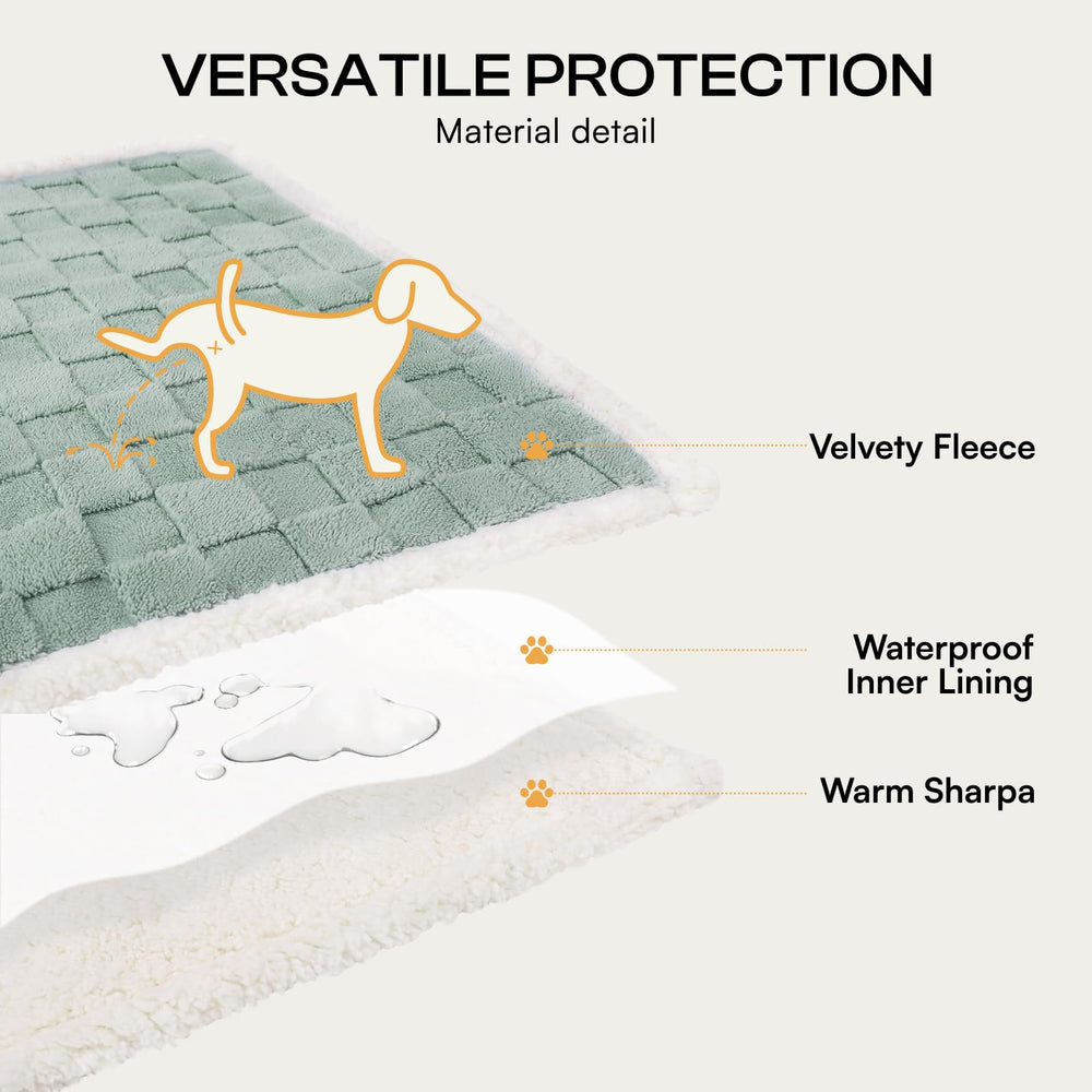 Luciphia medium-dog view demonstrates a perfect fit for medium pets.