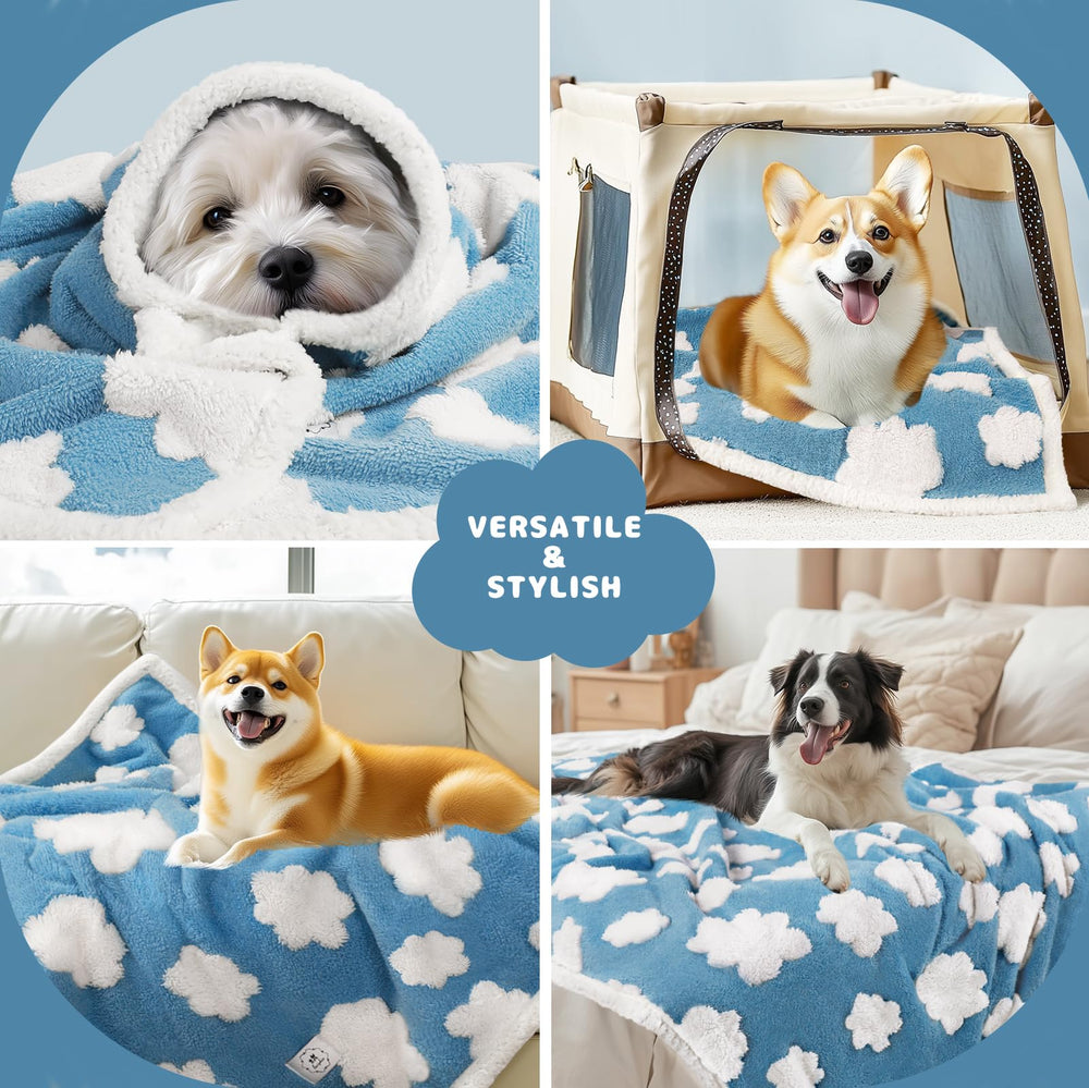 Luciphia waterproof pet blanket protects couches, chairs, and beds from messes.